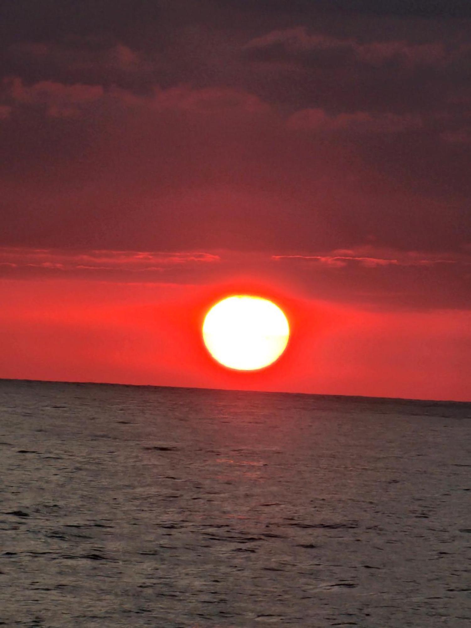 Pura Vida Apartments Quepos Δωμάτιο φωτογραφία