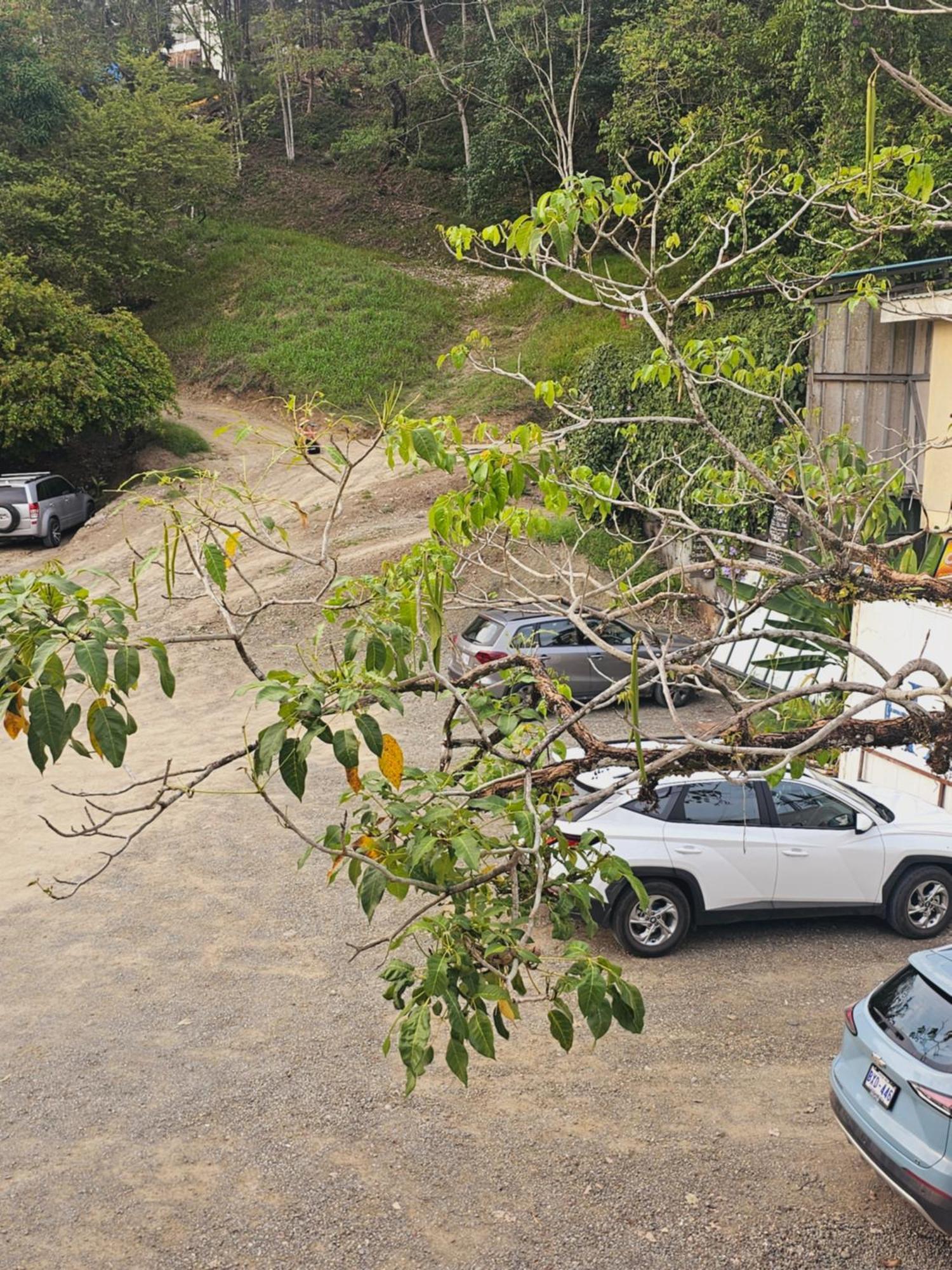 Pura Vida Apartments Quepos Δωμάτιο φωτογραφία